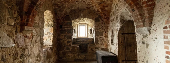 Ausflugsziel: Burgruine Hohenegg im Dunkelsteinerwald