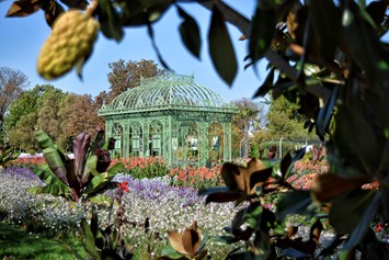 Ausflugsziel: Pavillon mit Sommerblumenschau - Blumengärten Hirschstetten
