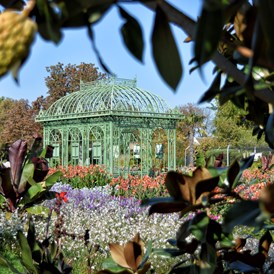 Ausflugsziel: Pavillon mit Sommerblumenschau - Blumengärten Hirschstetten