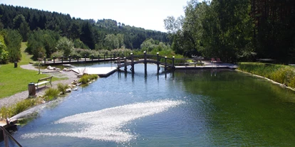 Trip with children - Stegersbach - Naturschwimmbad Bernstein