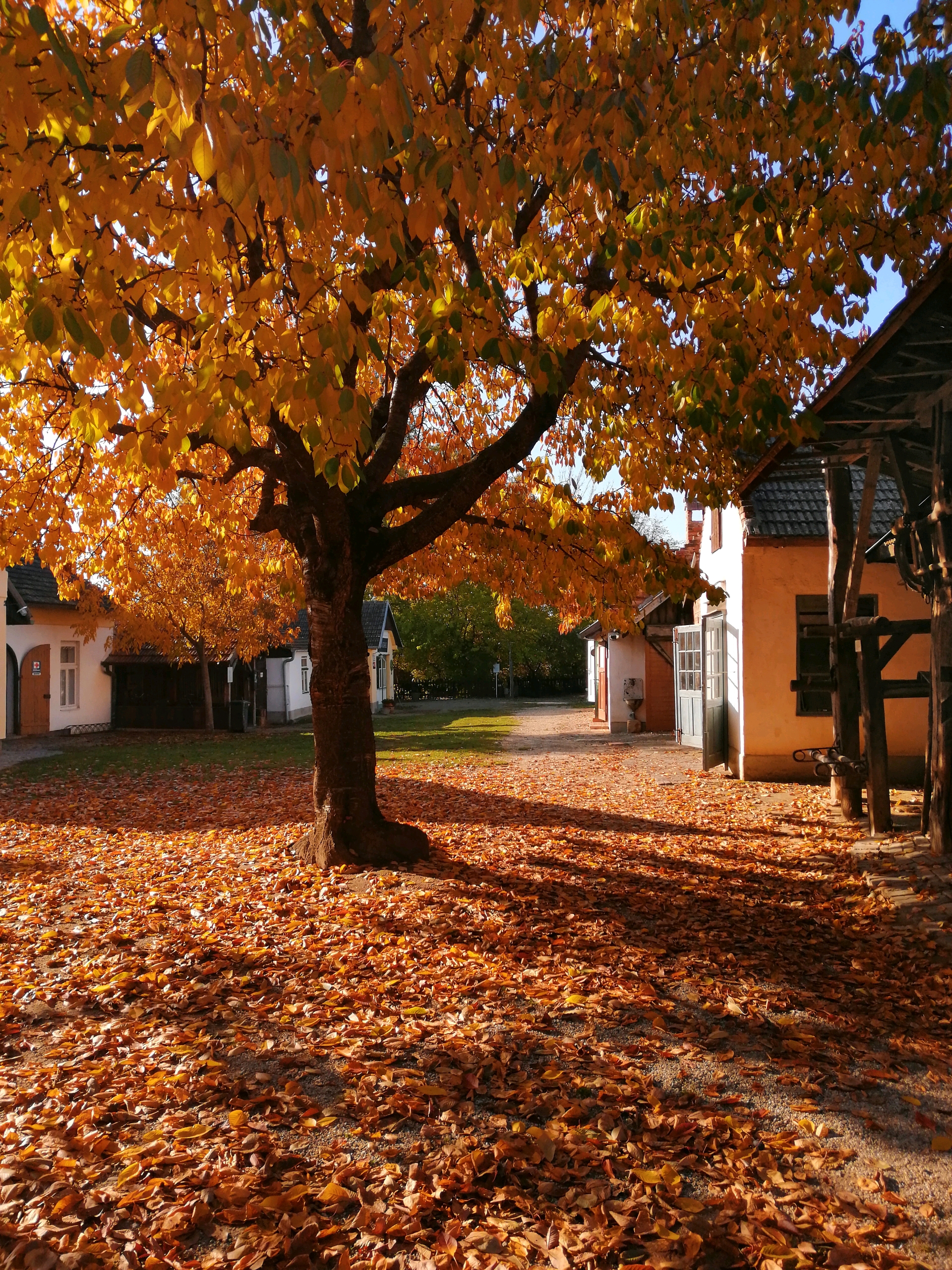 Ausflugsziel: Dorfmuseum Mönchhof
