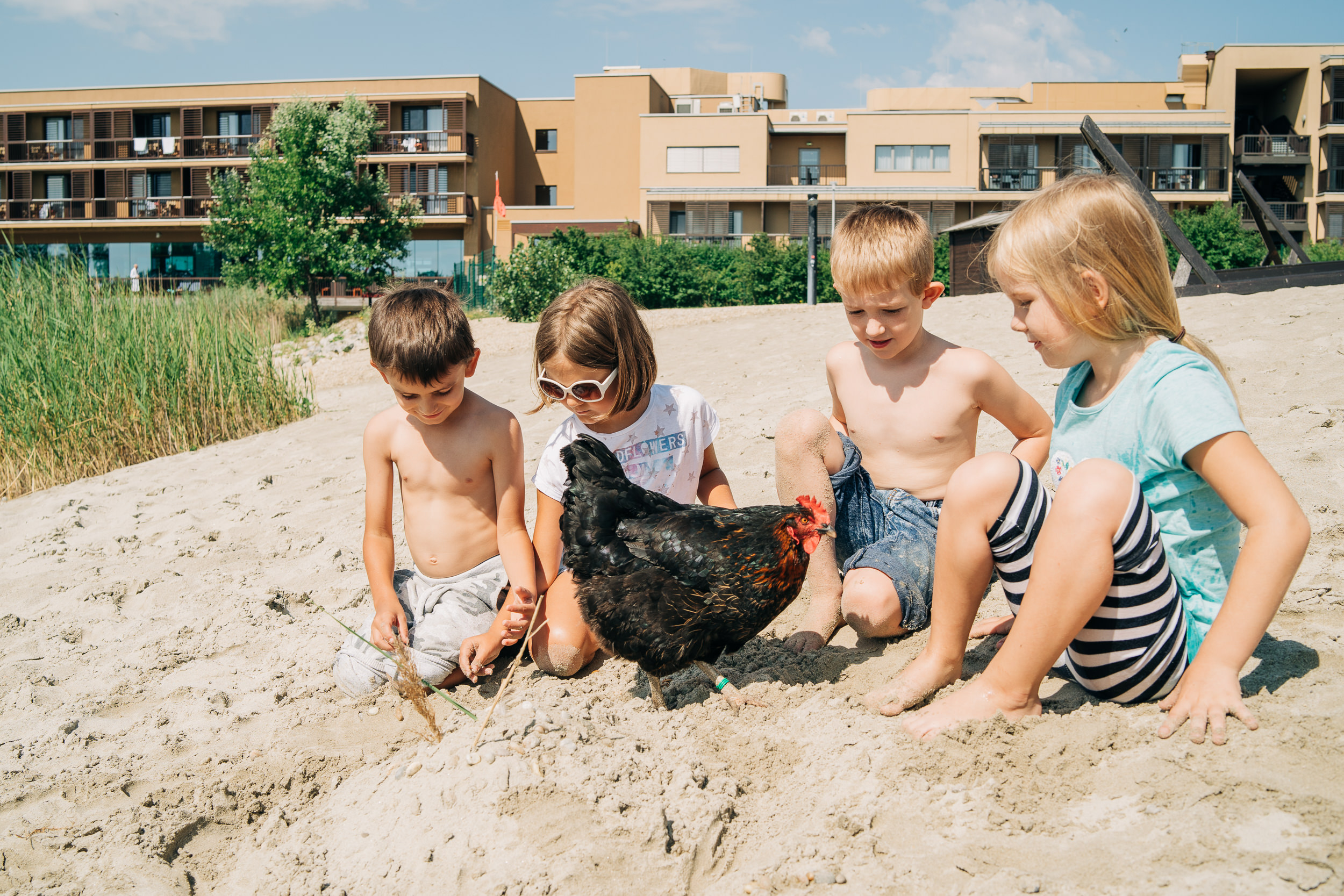 Ausflugsziel: St. Martins Therme & Lodge