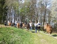 Ausflugsziel: Lamas vom Elfenhof