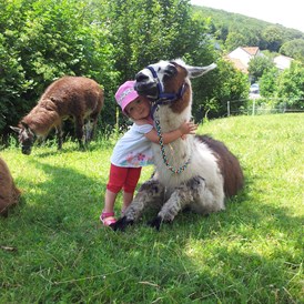 Ausflugsziel: Kuscheln mit Schecki - Striok's Lamas