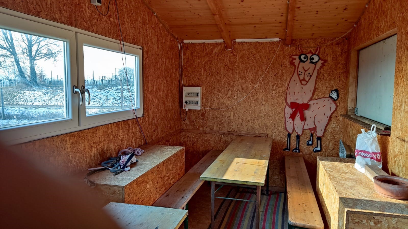 Ausflugsziel: Striok's Lamas