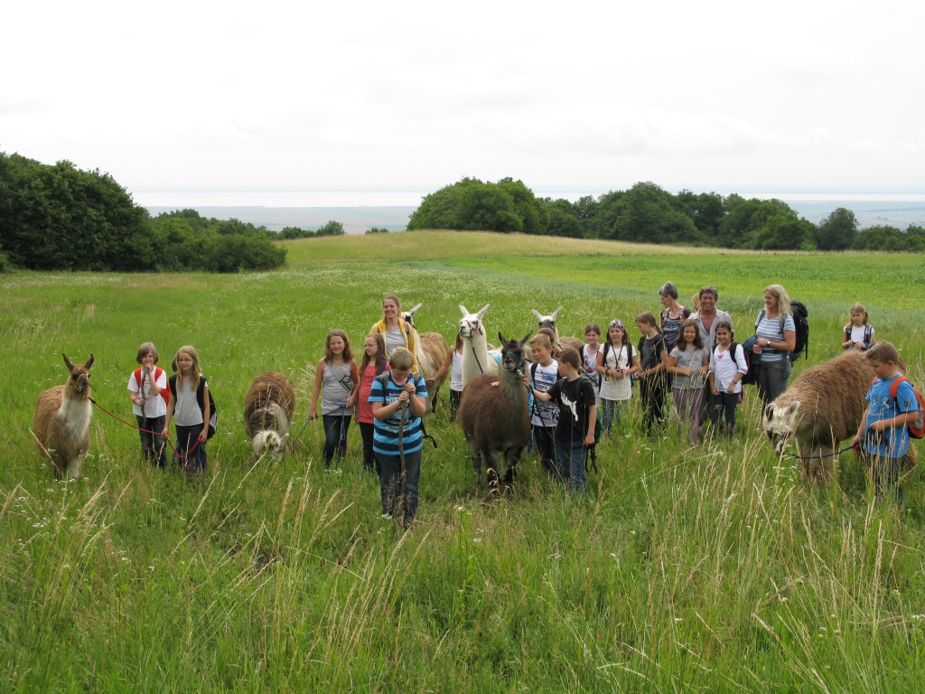 Ausflugsziel: Striok's Lamas