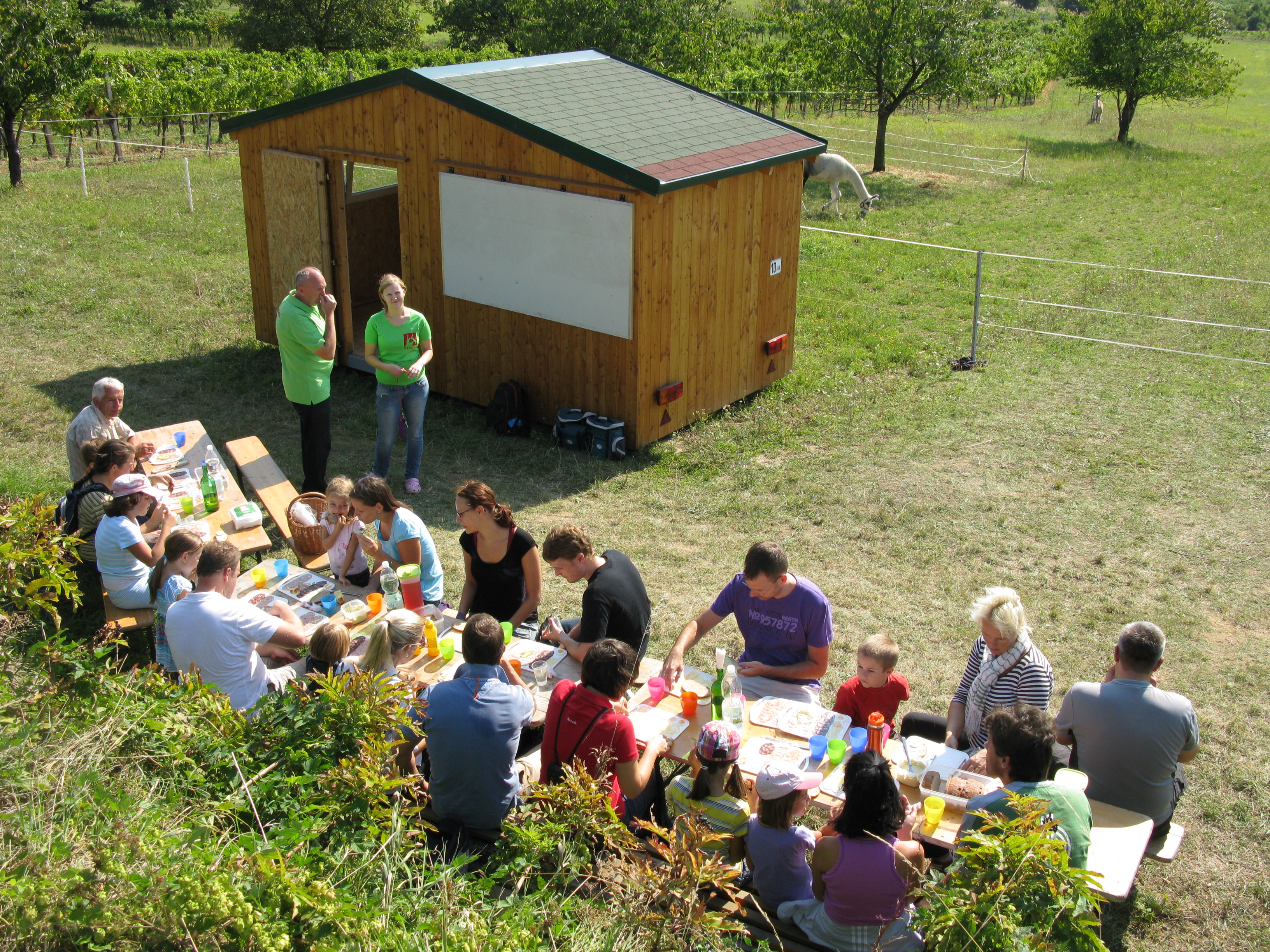 Ausflugsziel: Striok's Lamas