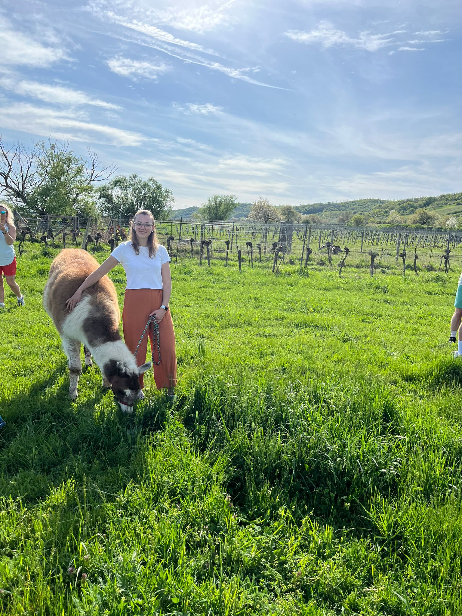 Ausflugsziel: Striok's Lamas