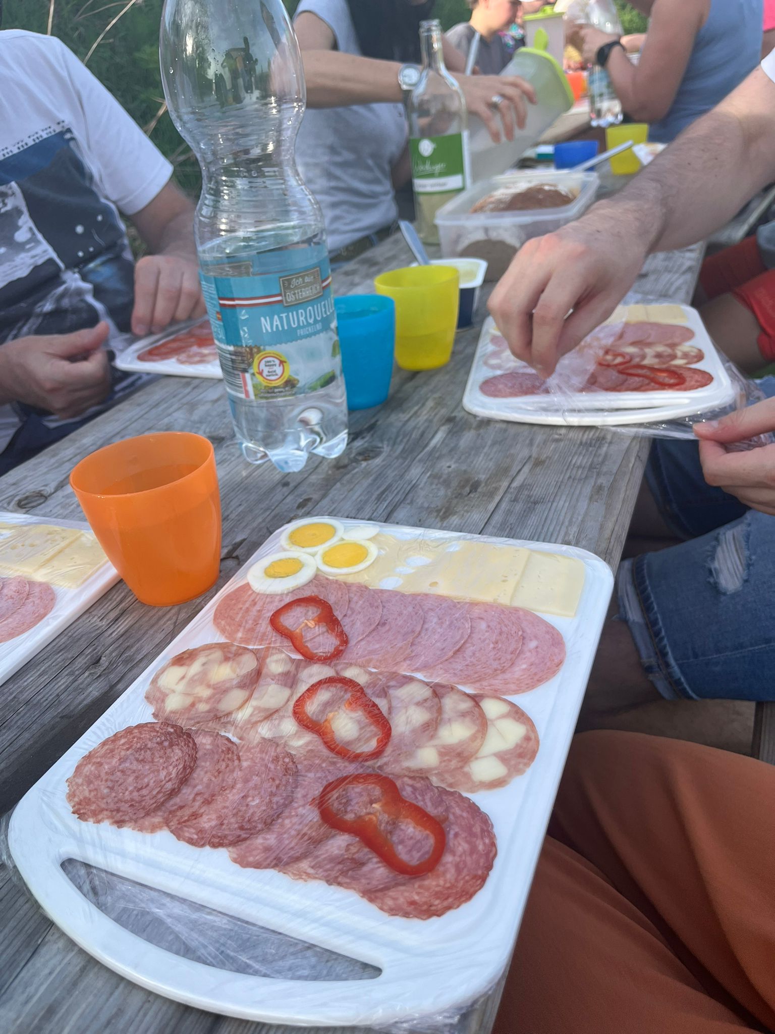 Ausflugsziel: Striok's Lamas