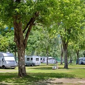 Ausflugsziel: Anschließender Campingplatz "Camping am Waldbad"  - Waldbad Dellach im Drautal