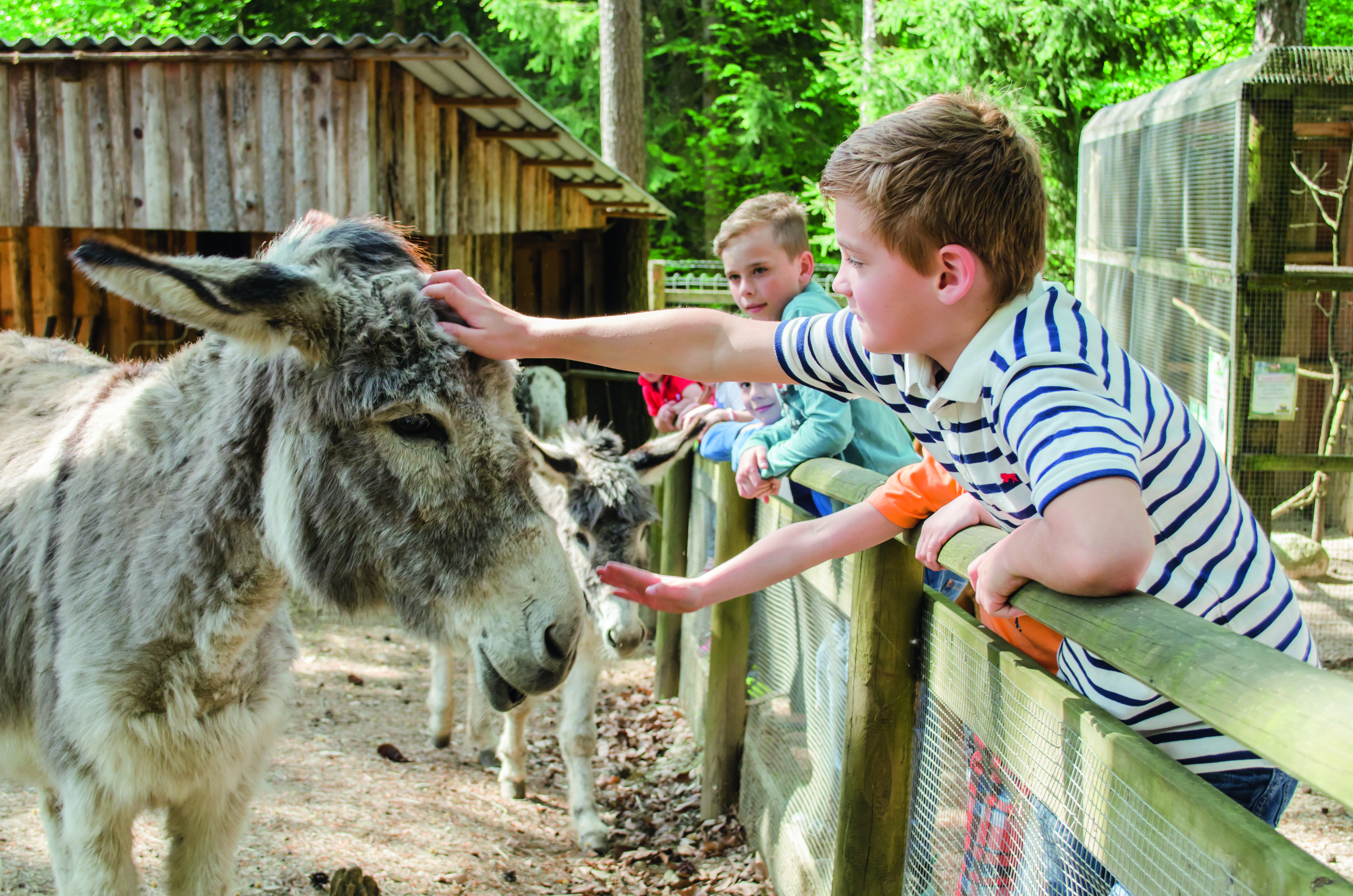 Ausflugsziel: Walderlebniswelt Klopeiner See