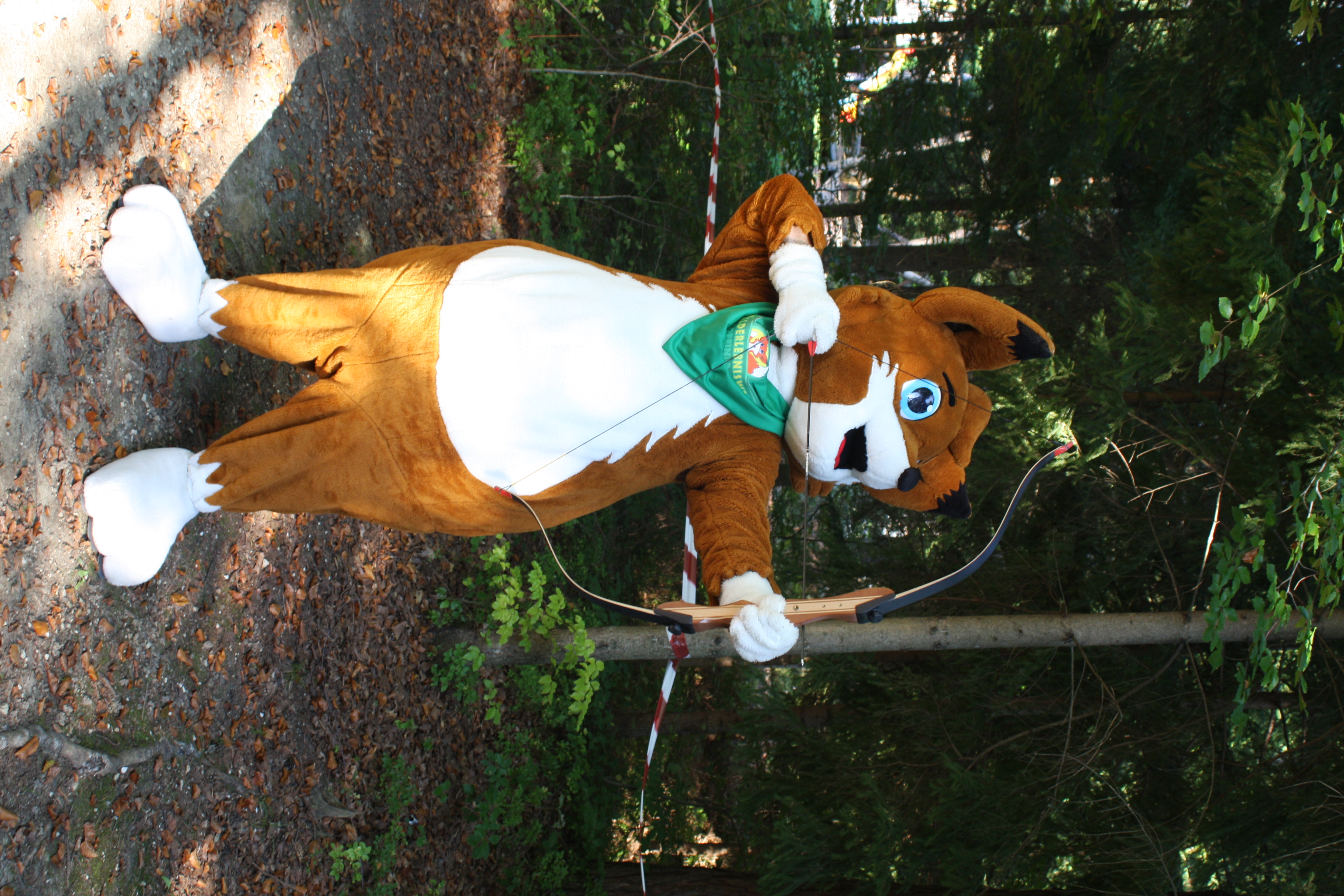 Ausflugsziel: Walderlebniswelt Klopeiner See